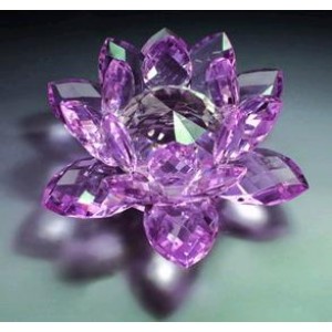 CRYSTAL CRAFTS-IGT-CR0001
